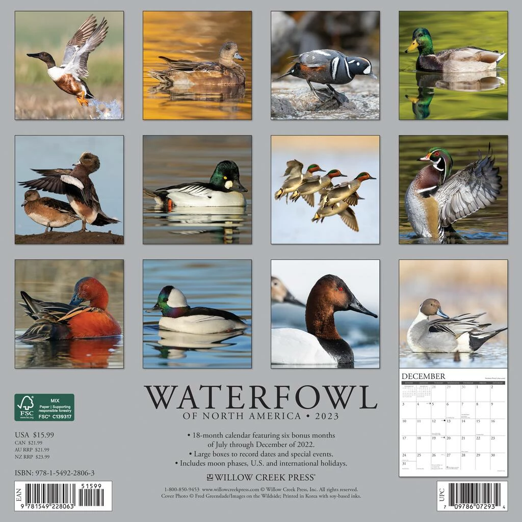 Coupon 🎉 2023 Waterfowl Wall Calendar by Willow Creek Press ✨ 2 Coupon 🎉 2023 Waterfowl Wall Calendar by Willow Creek Press ✨ - Image 2
