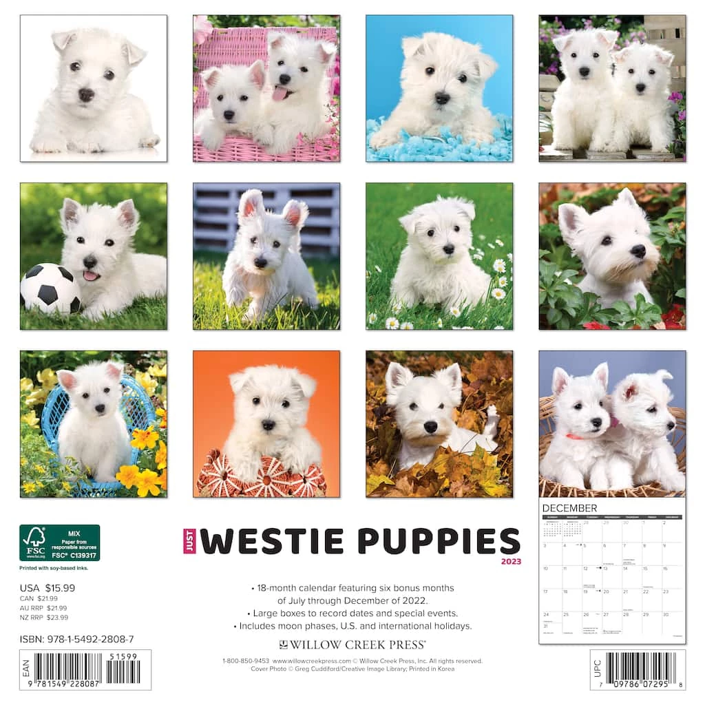 Outlet ๐ 2023 Just Westie Puppies Wall Calendar by Willow Creek Press ๐คฉ 2 Outlet ๐ 2023 Just Westie Puppies Wall Calendar by Willow Creek Press ๐คฉ - Image 2