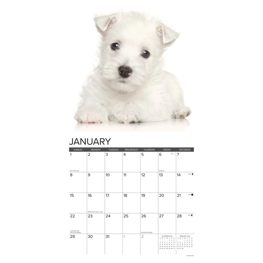 Outlet ๐ 2023 Just Westie Puppies Wall Calendar by Willow Creek Press ๐คฉ 3 Outlet ๐ 2023 Just Westie Puppies Wall Calendar by Willow Creek Press ๐คฉ - Image 3