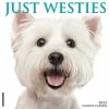 Hot Sale ✔️ 2023 Just Westies Wall Calendar by Willow Creek Press ⭐