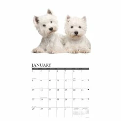 Hot Sale ✔️ 2023 Just Westies Wall Calendar by Willow Creek Press ⭐ -Cheap Willow Creek Press Store D670267S 3