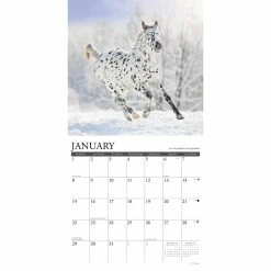 Coupon ⭐ 2023 What Horses Teach Us Wall Calendar by Willow Creek Press 💯 -Cheap Willow Creek Press Store D670271S 3