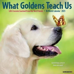 Best Sale 🛒 2023 What Goldens Teach Us Wall Calendar by Willow Creek Press 👏