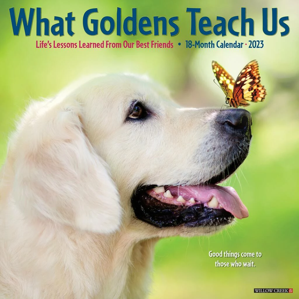 Best Sale 🛒 2023 What Goldens Teach Us Wall Calendar by Willow Creek Press 👏 1 Best Sale 🛒 2023 What Goldens Teach Us Wall Calendar by Willow Creek Press 👏