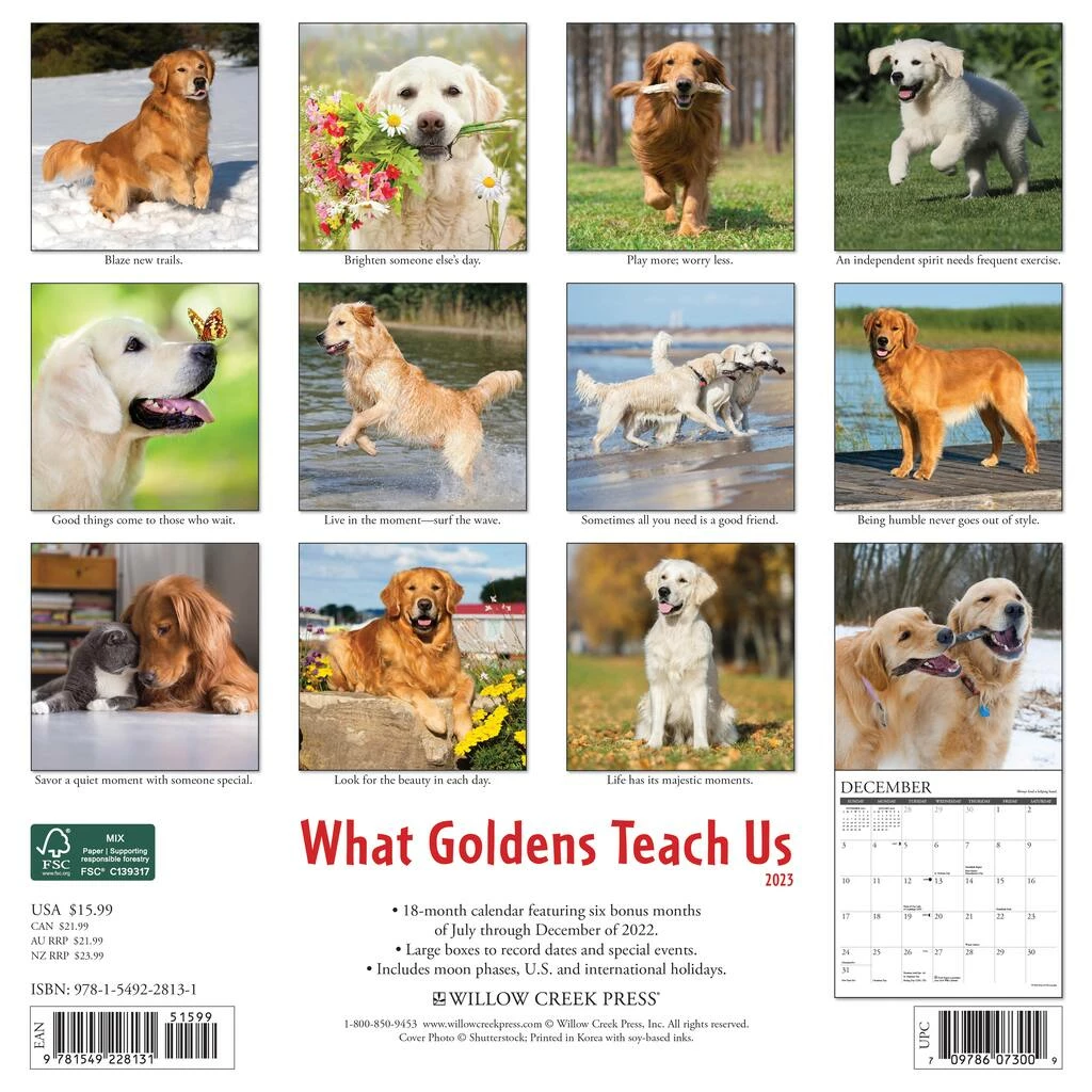 Best Sale 🛒 2023 What Goldens Teach Us Wall Calendar by Willow Creek Press 👏 2 Best Sale 🛒 2023 What Goldens Teach Us Wall Calendar by Willow Creek Press 👏 - Image 2