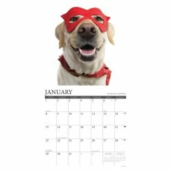 Best Sale 🔔 2023 What Labs Teach Us Wall Calendar by Willow Creek Press ✨ -Cheap Willow Creek Press Store D670273S 3