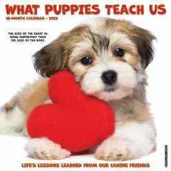 Best Pirce 🥰 2023 What Puppies Teach Us Wall Calendar by Willow Creek Press 🌟