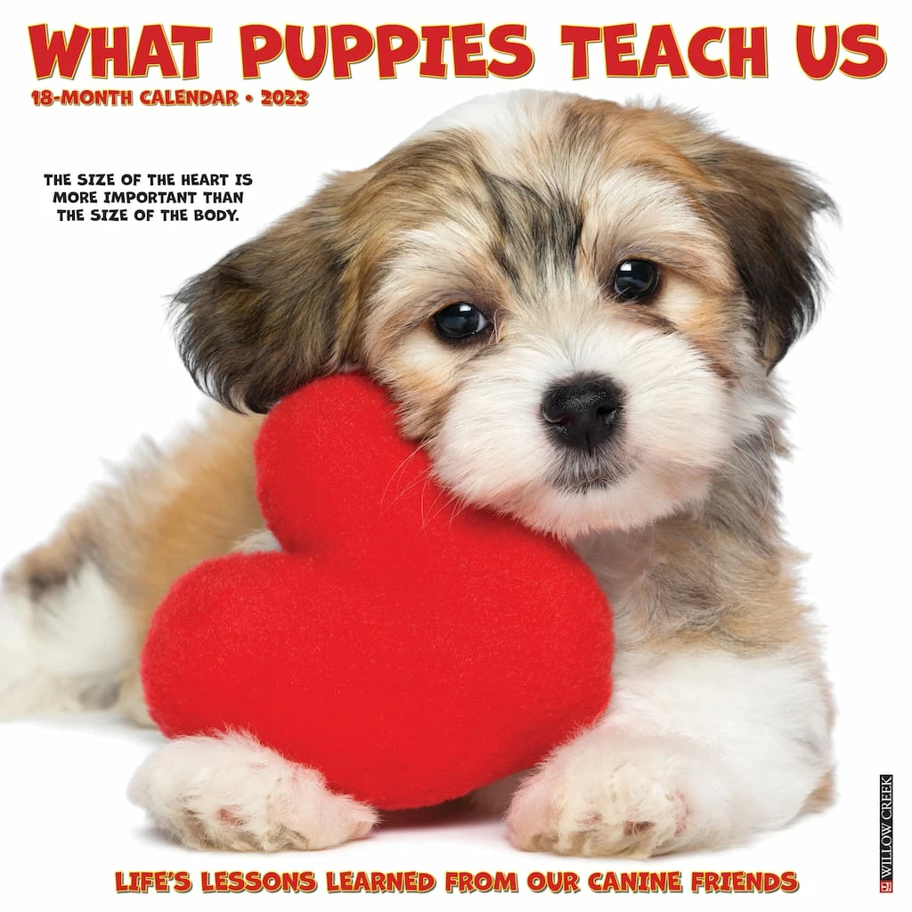 Best Pirce ๐ฅฐ 2023 What Puppies Teach Us Wall Calendar by Willow Creek Press ๐ 1 Best Pirce ๐ฅฐ 2023 What Puppies Teach Us Wall Calendar by Willow Creek Press ๐