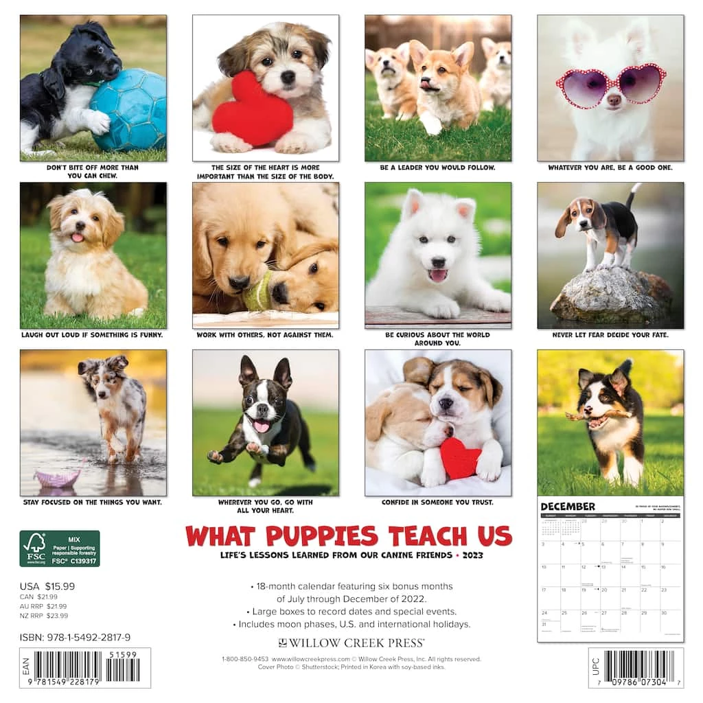 Best Pirce ๐ฅฐ 2023 What Puppies Teach Us Wall Calendar by Willow Creek Press ๐ 2 Best Pirce ๐ฅฐ 2023 What Puppies Teach Us Wall Calendar by Willow Creek Press ๐ - Image 2
