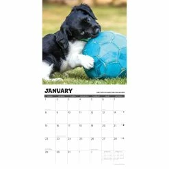 Best Pirce ๐ฅฐ 2023 What Puppies Teach Us Wall Calendar by Willow Creek Press ๐ 6 Best Pirce ๐ฅฐ 2023 What Puppies Teach Us Wall Calendar by Willow Creek Press ๐ -Cheap Willow Creek Press Store D670274S 3