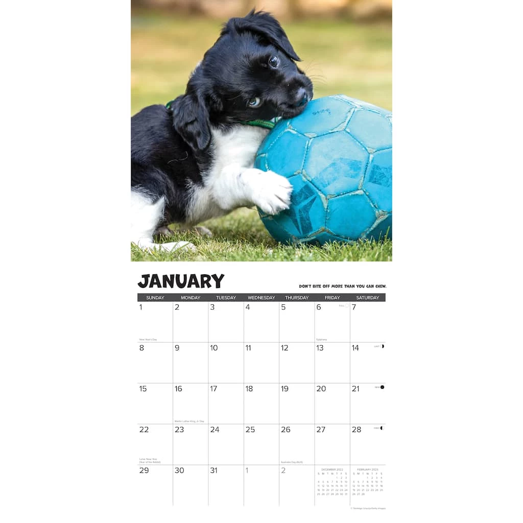 Best Pirce ๐ฅฐ 2023 What Puppies Teach Us Wall Calendar by Willow Creek Press ๐ 3 Best Pirce ๐ฅฐ 2023 What Puppies Teach Us Wall Calendar by Willow Creek Press ๐ - Image 3