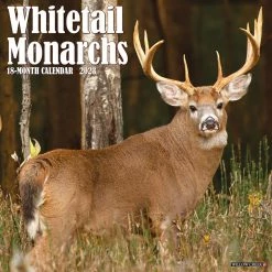 New ๐ 2023 Whitetail Monarchs Wall Calendar by Willow Creek Press ๐