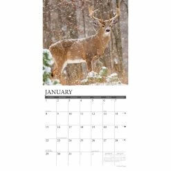 New 😍 2023 Whitetail Monarchs Wall Calendar by Willow Creek Press 😍 -Cheap Willow Creek Press Store D670275S 3