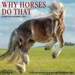 Outlet 🔥 2023 Why Horses Do That Wall Calendar by Willow Creek Press ⌛