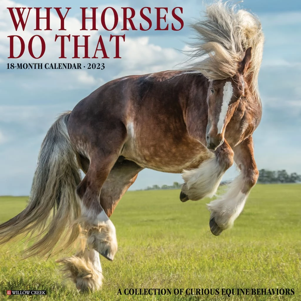 Outlet 🔥 2023 Why Horses Do That Wall Calendar by Willow Creek Press ⌛ 1 Outlet 🔥 2023 Why Horses Do That Wall Calendar by Willow Creek Press ⌛