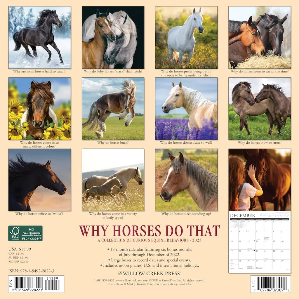 Outlet 🔥 2023 Why Horses Do That Wall Calendar by Willow Creek Press ⌛ 2 Outlet 🔥 2023 Why Horses Do That Wall Calendar by Willow Creek Press ⌛ - Image 2