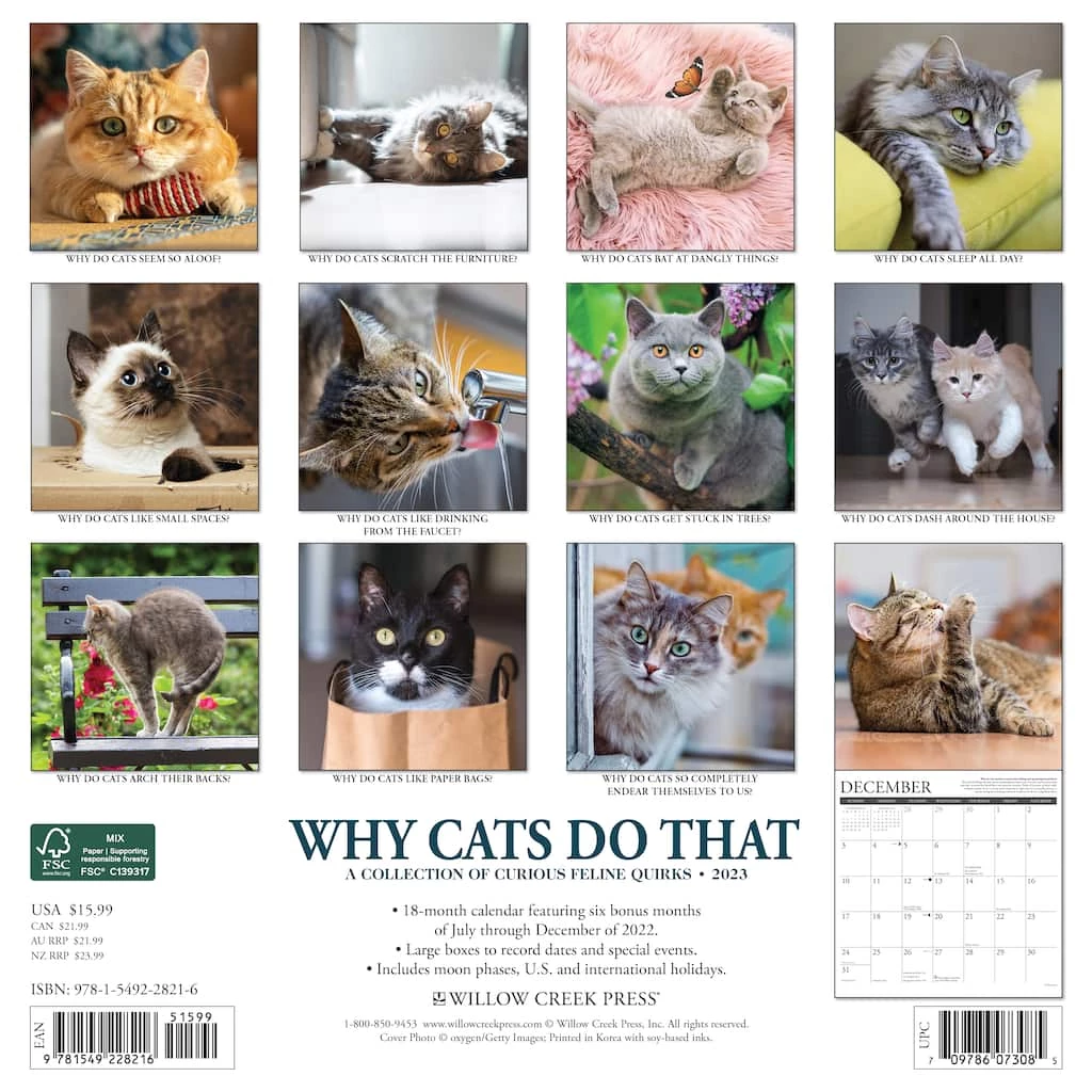 Budget 🛒 2023 Why Cats Do That Wall Calendar by Willow Creek Press 🔔 2 Budget 🛒 2023 Why Cats Do That Wall Calendar by Willow Creek Press 🔔 - Image 2