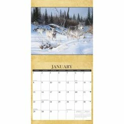 Coupon ✔️ 2023 Wild America Wall Calendar by Willow Creek Press 👍 -Cheap Willow Creek Press Store D670278S 3