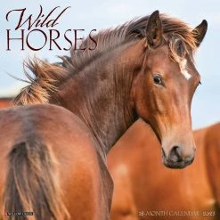 Flash Sale 🤩 2023 Wild Horses Wall Calendar by Willow Creek Press 🔔