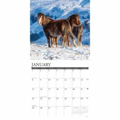 Flash Sale 🤩 2023 Wild Horses Wall Calendar by Willow Creek Press 🔔 -Cheap Willow Creek Press Store D670279S 3