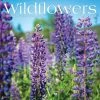 Hot Sale ⭐ 2023 Wildflowers Wall Calendar by Willow Creek Press 🤩