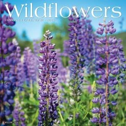 Hot Sale ⭐ 2023 Wildflowers Wall Calendar by Willow Creek Press 🤩