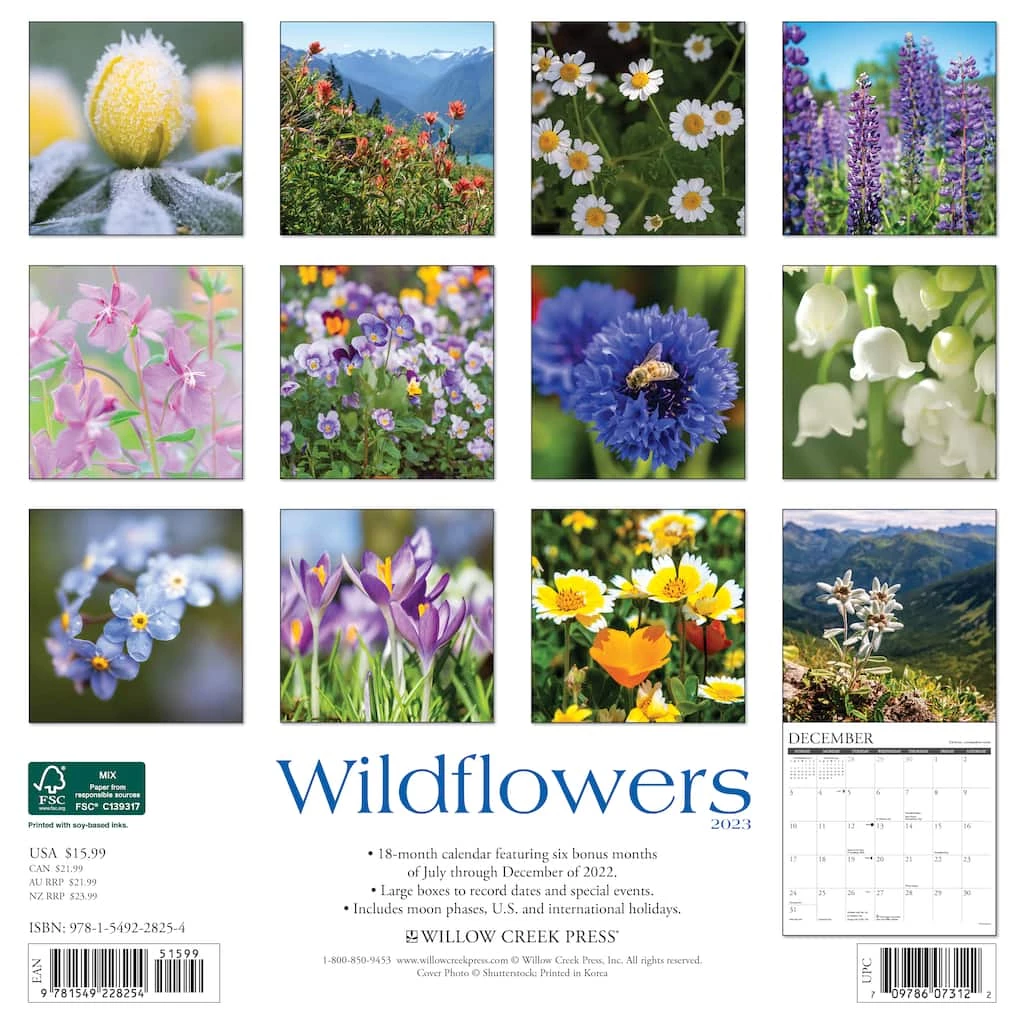 Hot Sale ⭐ 2023 Wildflowers Wall Calendar by Willow Creek Press 🤩 2 Hot Sale ⭐ 2023 Wildflowers Wall Calendar by Willow Creek Press 🤩 - Image 2