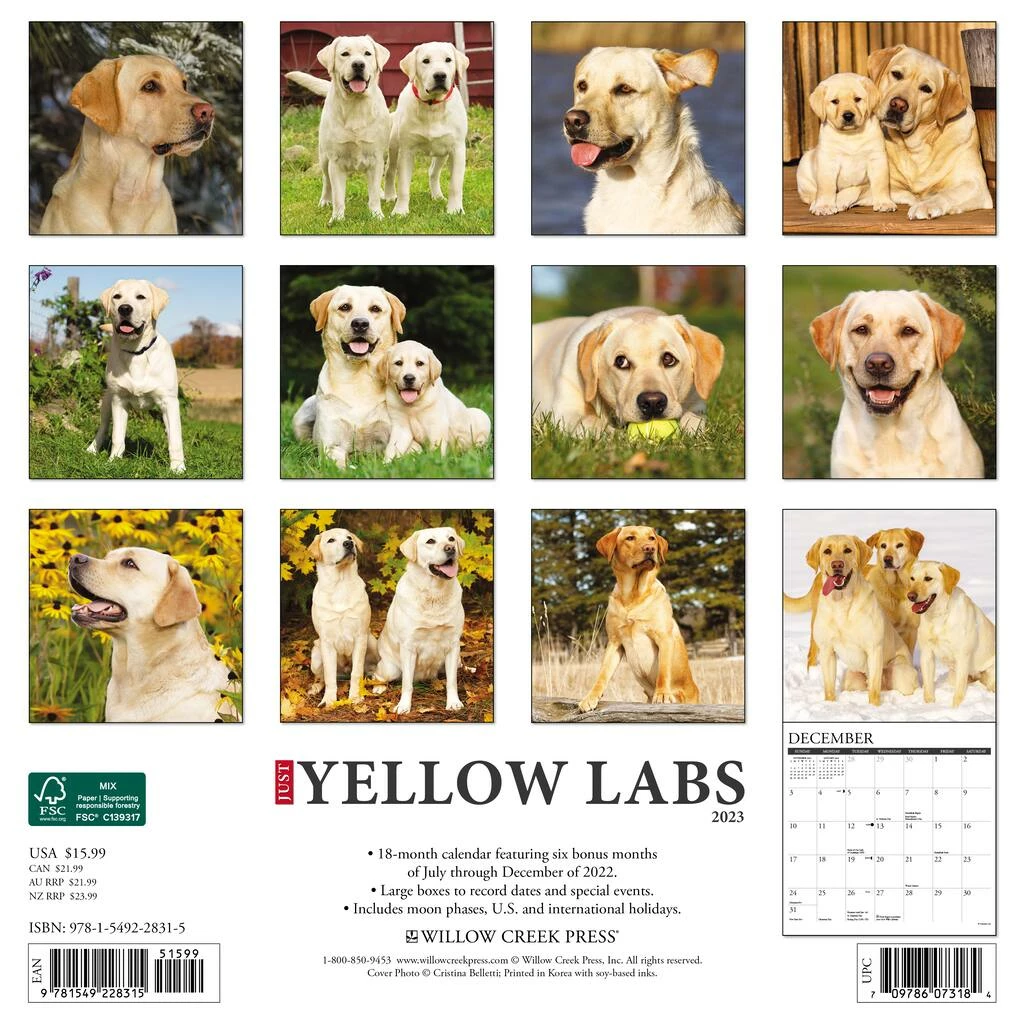 Best deal ๐งจ 2023 Just Yellow Labs Wall Calendar by Willow Creek Press ๐คฉ 2 Best deal ๐งจ 2023 Just Yellow Labs Wall Calendar by Willow Creek Press ๐คฉ - Image 2