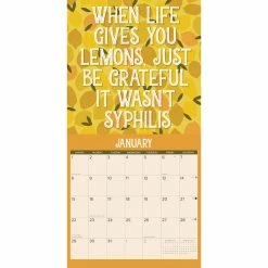 Buy ✨ 2023 You Don't Got This Wall Calendar by Willow Creek Press 👍 -Cheap Willow Creek Press Store D670287S 3