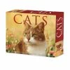 Top 10 🛒 2023 Cats Daily Box Calendar by Willow Creek Press ⌛