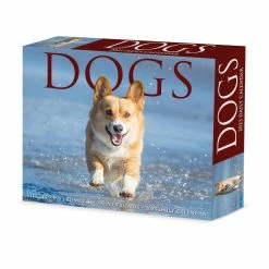 Promo 💯 2023 🦮 Dogs Daily Box Calendar by Willow Creek Press ✔️
