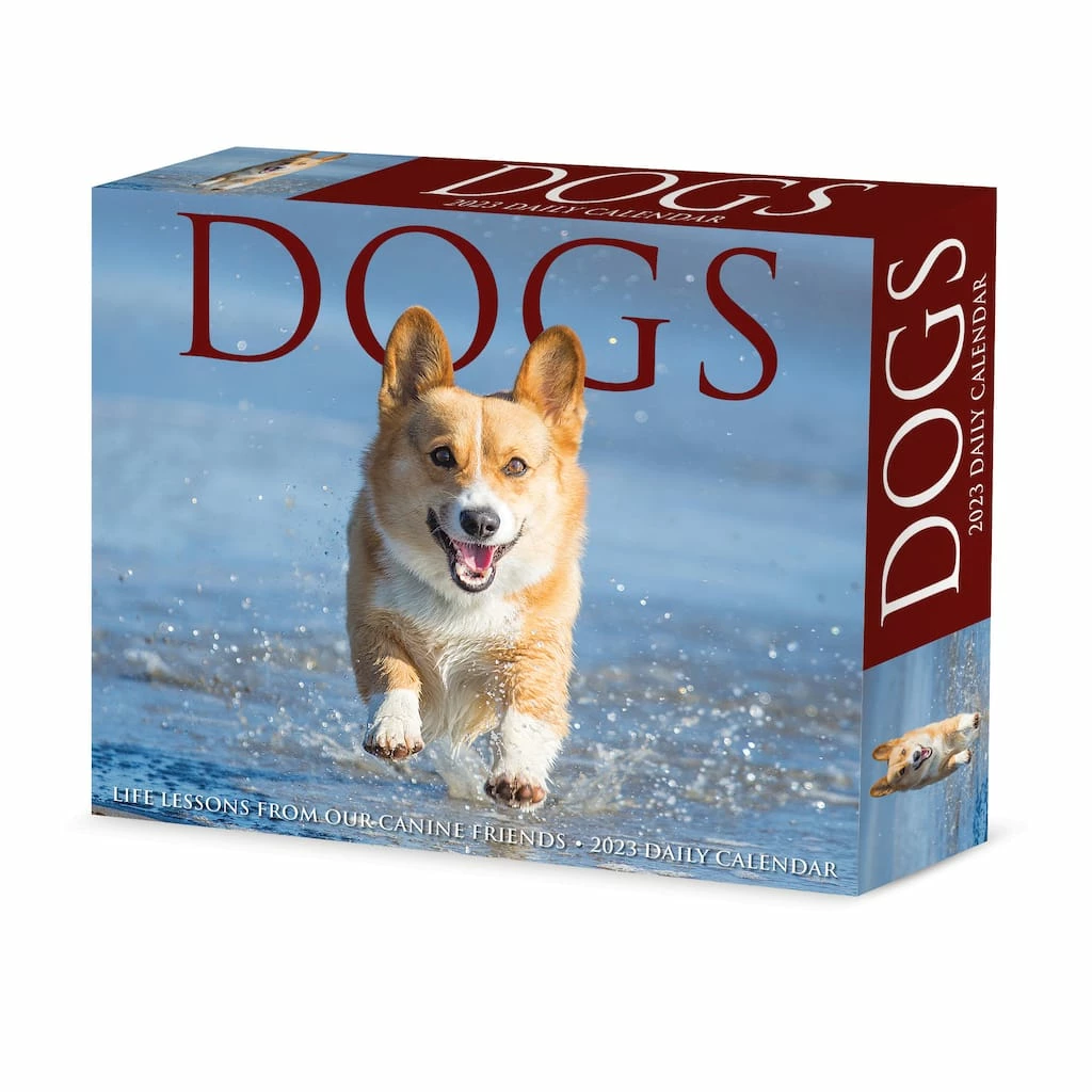 Promo ๐ฏ 2023 ๐ฆฎ Dogs Daily Box Calendar by Willow Creek Press โ๏ธ 1 Promo ๐ฏ 2023 ๐ฆฎ Dogs Daily Box Calendar by Willow Creek Press โ๏ธ