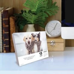 Promo ๐ฏ 2023 ๐ฆฎ Dogs Daily Box Calendar by Willow Creek Press โ๏ธ 10 Promo ๐ฏ 2023 ๐ฆฎ Dogs Daily Box Calendar by Willow Creek Press โ๏ธ -Cheap Willow Creek Press Store D670295S 4