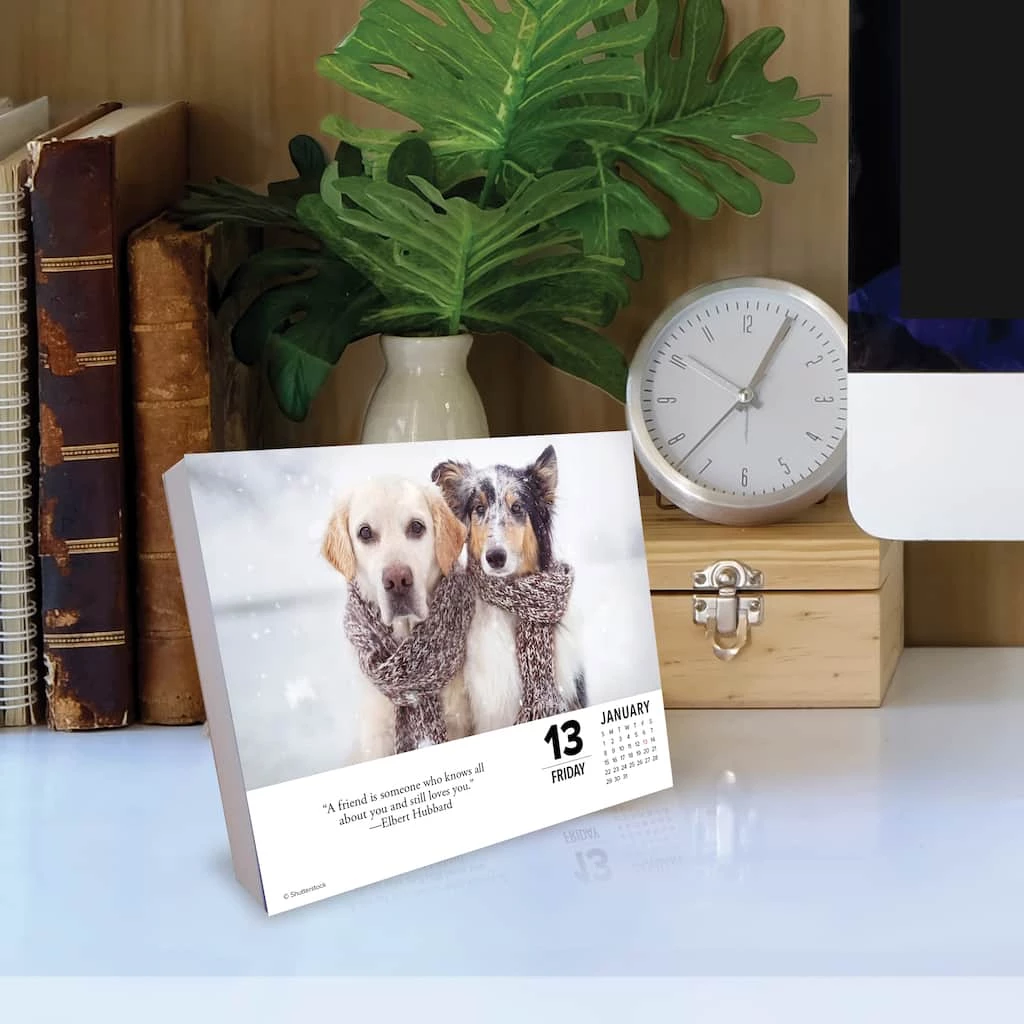 Promo ๐ฏ 2023 ๐ฆฎ Dogs Daily Box Calendar by Willow Creek Press โ๏ธ 4 Promo ๐ฏ 2023 ๐ฆฎ Dogs Daily Box Calendar by Willow Creek Press โ๏ธ - Image 4