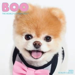 Promo ๐ 2023 Boo Wall Calendar by Willow Creek Press ๐