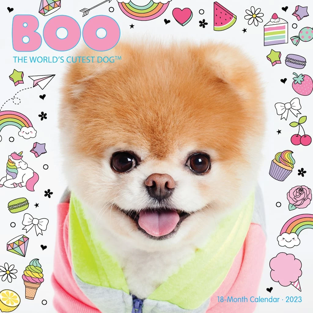Promo βοΈ 2023 Boo Mini Wall Calendar by Willow Creek Press π― 1 Promo βοΈ 2023 Boo Mini Wall Calendar by Willow Creek Press π―