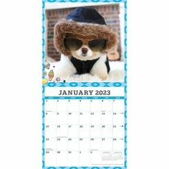 Promo βοΈ 2023 Boo Mini Wall Calendar by Willow Creek Press π― 5 Promo βοΈ 2023 Boo Mini Wall Calendar by Willow Creek Press π― -Cheap Willow Creek Press Store D670303S 3